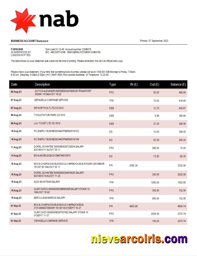 NAB Bank company account statement